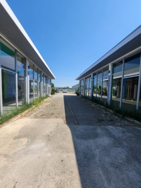 Shiten Kapanone ne Xhafzotaj